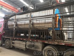 6吨燃气蒸汽开云(中国)